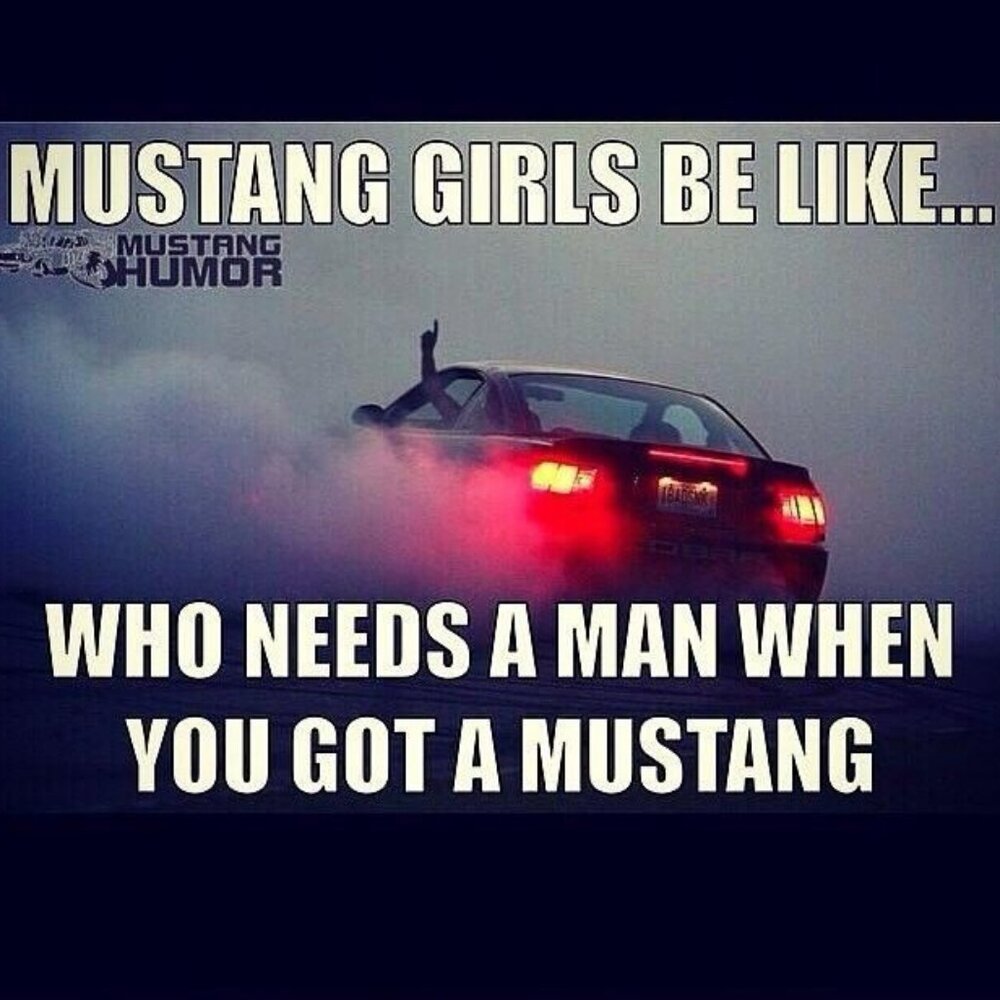 Meet your Posher, Tedi